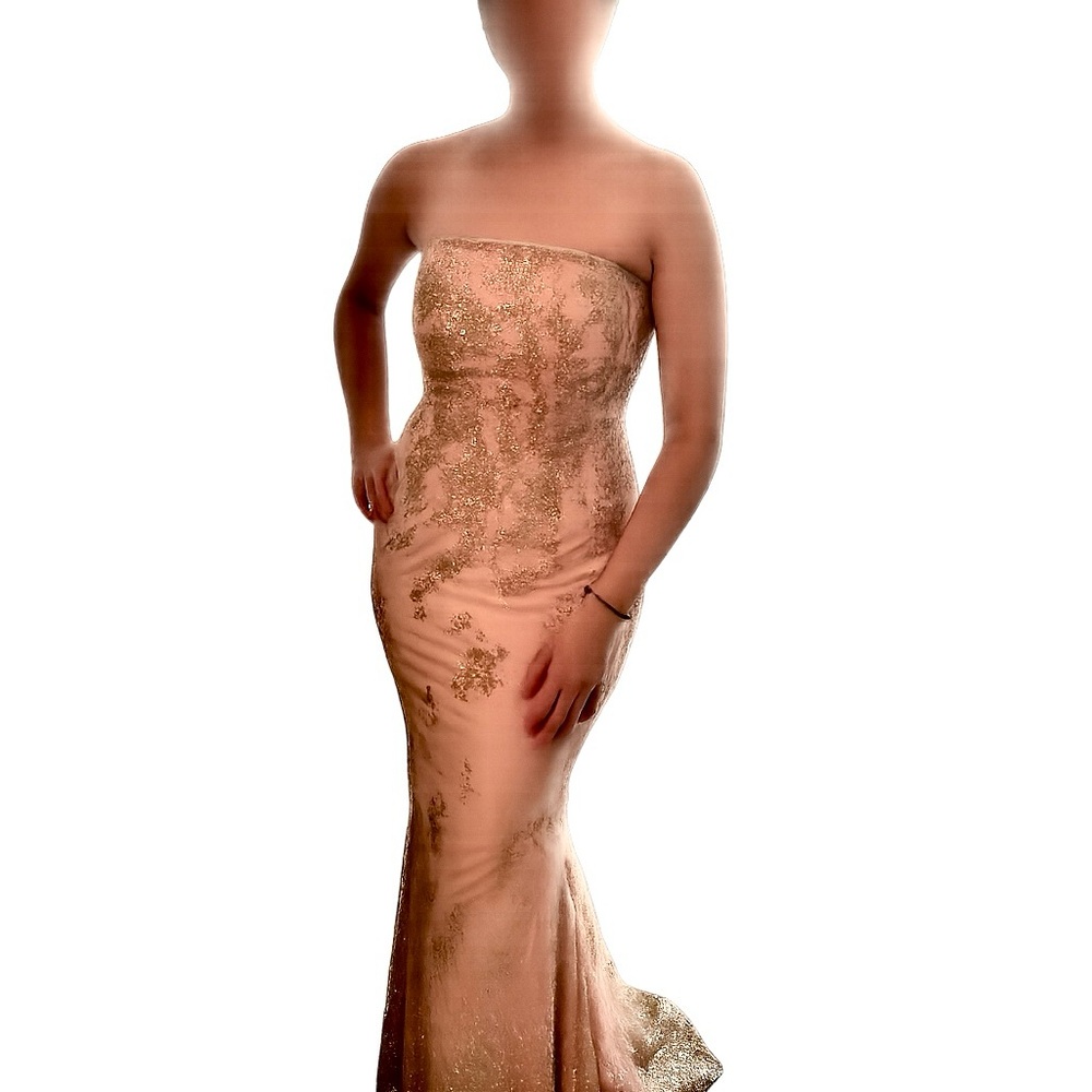 Minuet - Bellini of the Ball - Pink Dress with Gold Floral Accents NWT